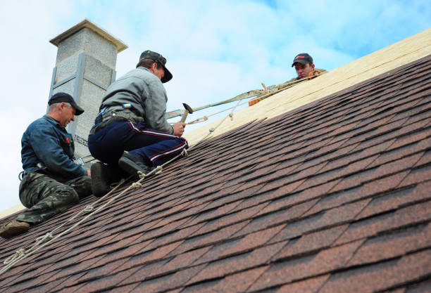 Best Roof Gutter Cleaning  in Huber Ridge, OH